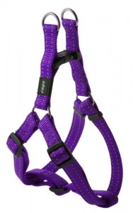 step-in_harness