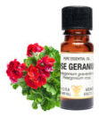 rose geranium oil