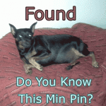Found: Do you know this Min Pin?